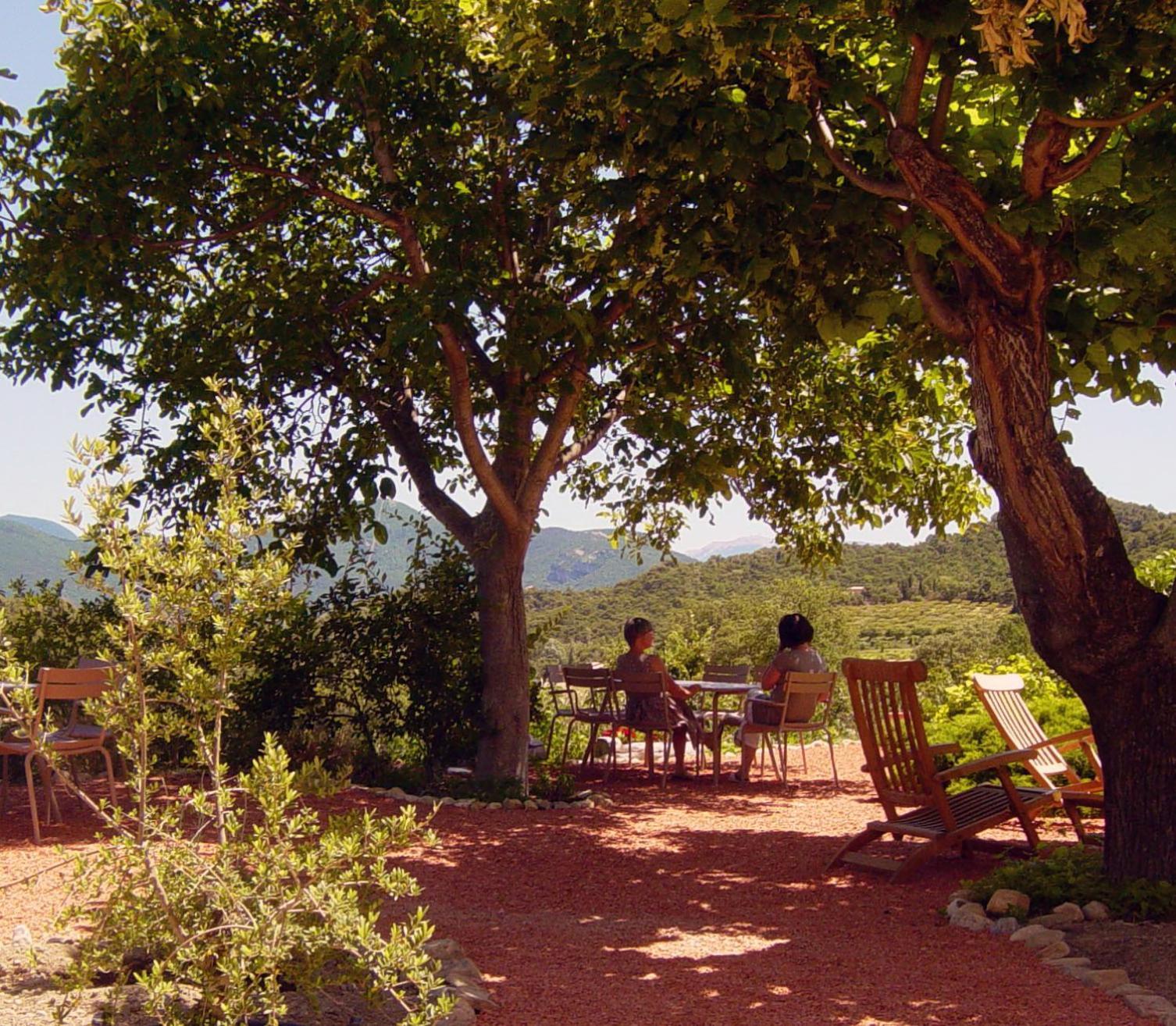 Bed and Breakfast Domaine De Provensol Venterol  Zewnętrze zdjęcie